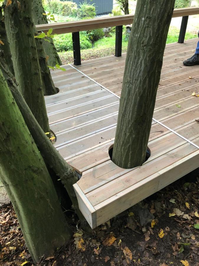 Ferienhaus Waldbaden Im Nationalpark Eifel- Am Bach شليدن المظهر الخارجي الصورة