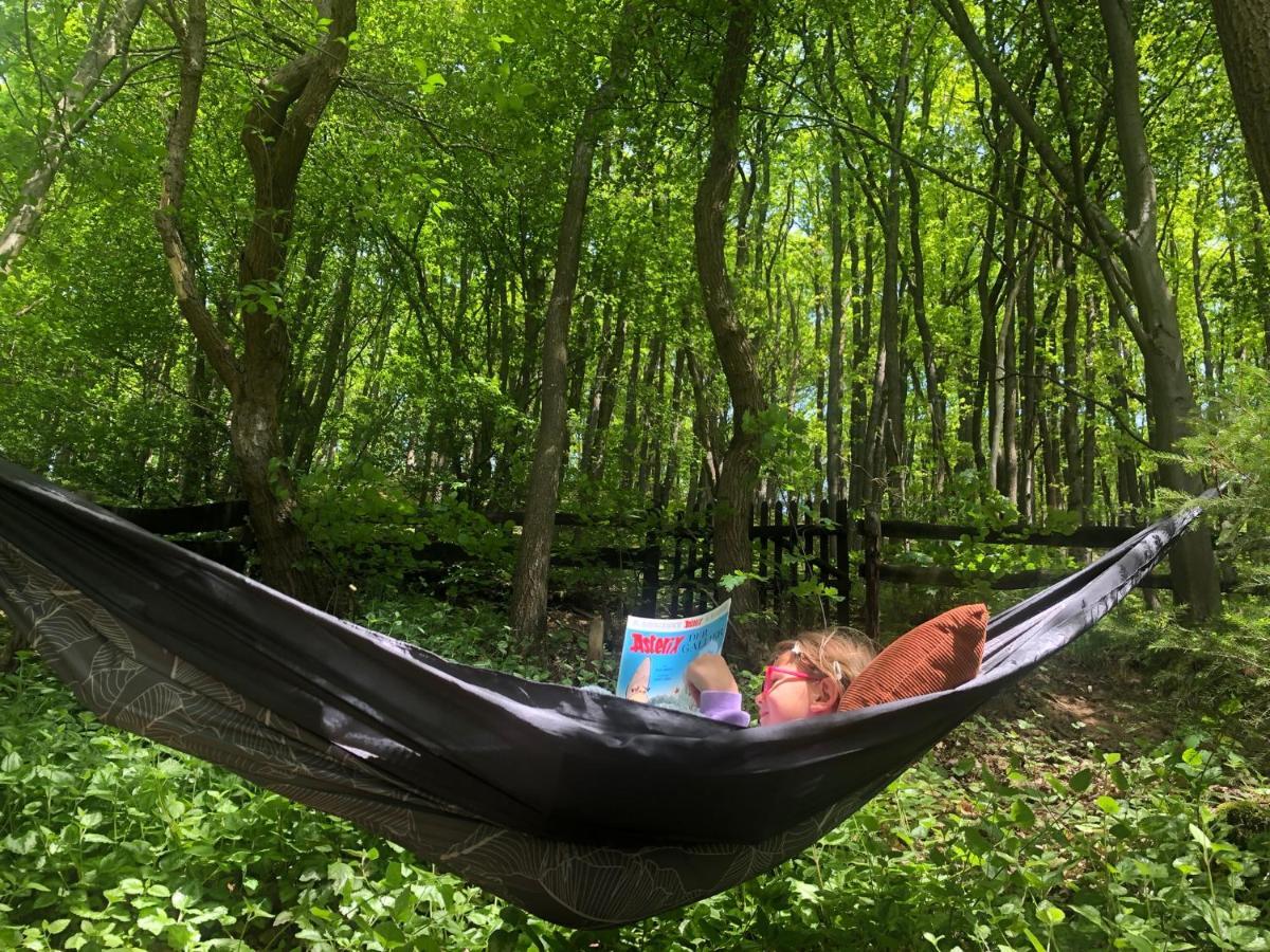 Ferienhaus Waldbaden Im Nationalpark Eifel- Am Bach شليدن المظهر الخارجي الصورة