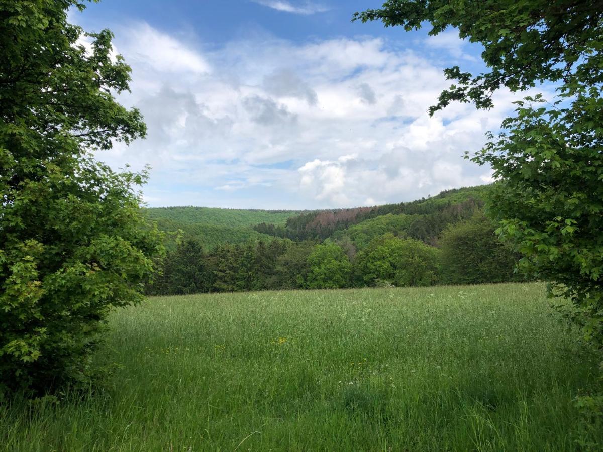 Ferienhaus Waldbaden Im Nationalpark Eifel- Am Bach شليدن المظهر الخارجي الصورة