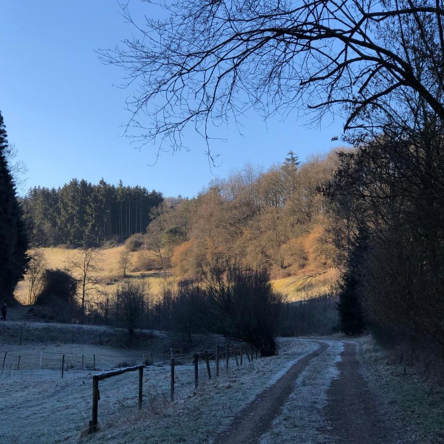 Ferienhaus Waldbaden Im Nationalpark Eifel- Am Bach شليدن المظهر الخارجي الصورة