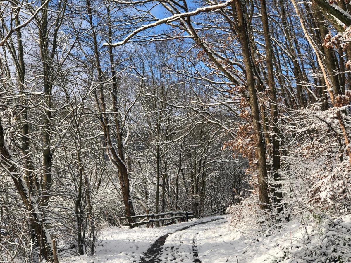 Ferienhaus Waldbaden Im Nationalpark Eifel- Am Bach شليدن المظهر الخارجي الصورة